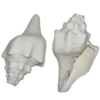 Shri Durga Blowing Shankh