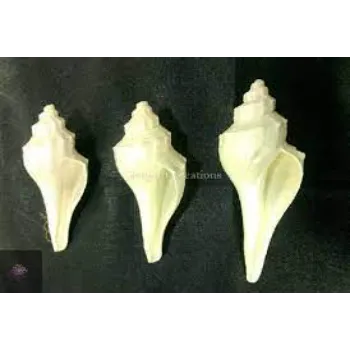 World Blowing Shankh