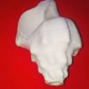 Shree Ram Products Pvt Ltd Blowing Shankh