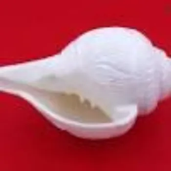 Pooja Craft & Embroidary Blowing Shankh