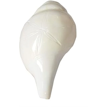 New Blowing Shankh For Worship 