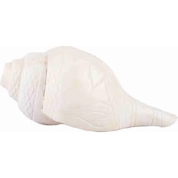 Pure Natural Blowing Shankh
