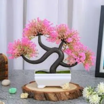 Roshni Agri forestry  Bonsai Plants