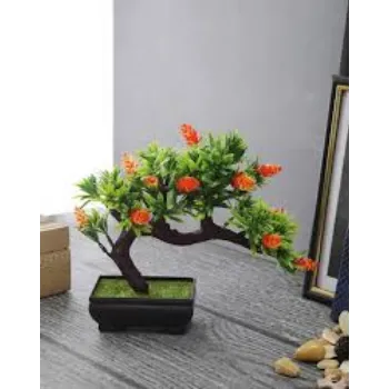 GREEN  Bonsai Plants