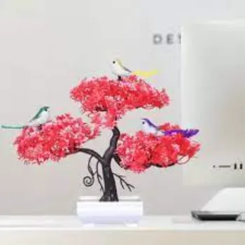 Organic Bonsai Plants