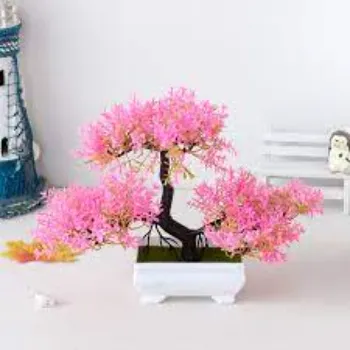 Common  Bonsai Plants