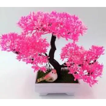 Natural Bonsai Plants