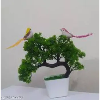 Organic Bonsai Plants