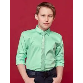 Boys Light Green shirt
