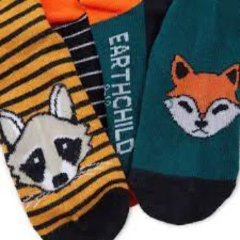 Boys Fancy Socks
