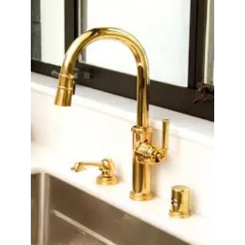 Brass Health Faucet Golden Color 