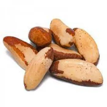 Common Brazil Nuts