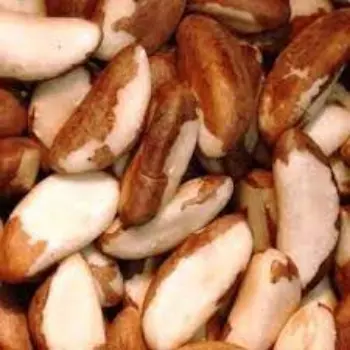 Natural Brazil Nuts