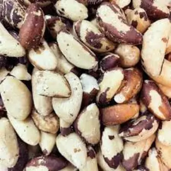 Natural Brazil Nuts