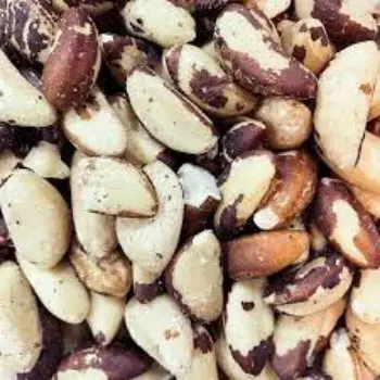 Natural Brazil Nuts