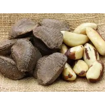 Natural Brazil Nuts