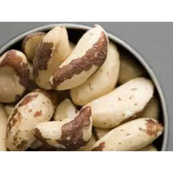 Common Brazil Nuts