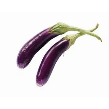 Brinjal