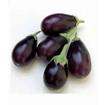 Natural Brinjal