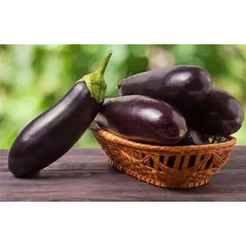 Brinjal