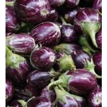 Natural Brinjal