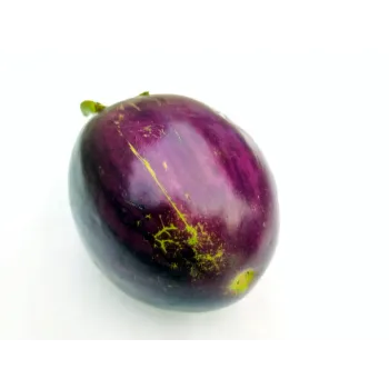 Fresh Brinjal