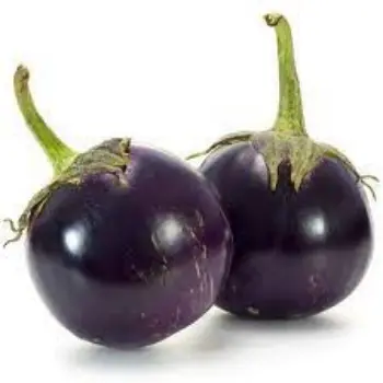 Natural Brinjal