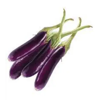 Natural Fresh Brinjal