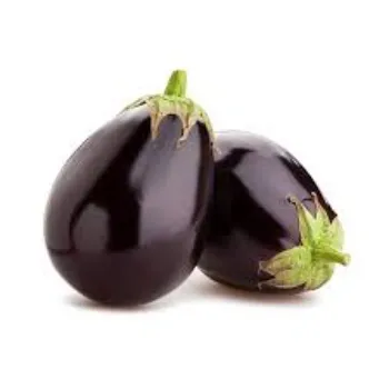 Organic Fresh Brinjal