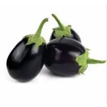 Natural Brinjal