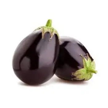 Common Fresh Brinjal