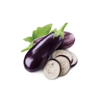 Common Brinjal