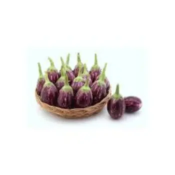 Natural Fresh Brinjal