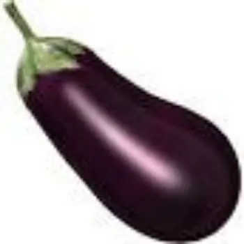 Organic Brinjal