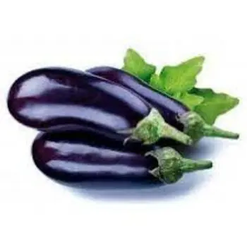 Natural Brinjal