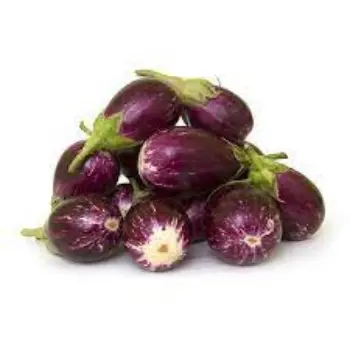 Natural Fresh Brinjal