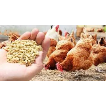 Organic Broiler Feed