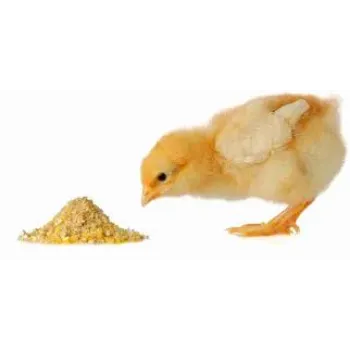 Organic Poultry Broiler Feed