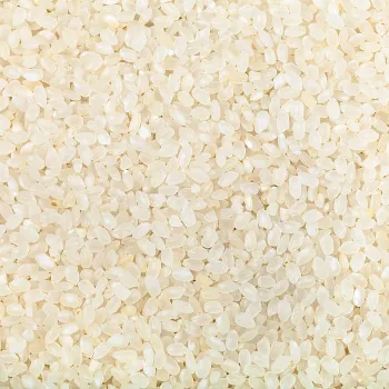Common  Broken Rice