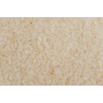 Common  Broken Rice