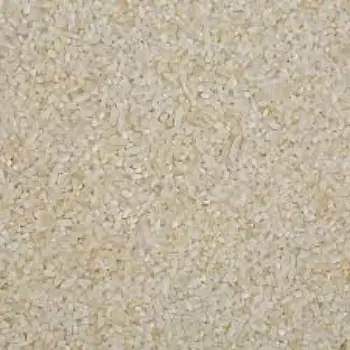 Broken Non Basmati Rice