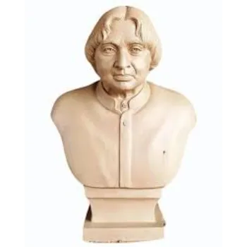  Bronze Abdul kalam Statue