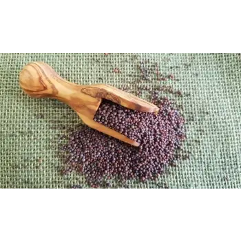 Common Brown Mustard Seeds