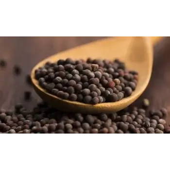 Natural Brown Mustard Seeds