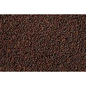 Natural Brown Mustard Seeds