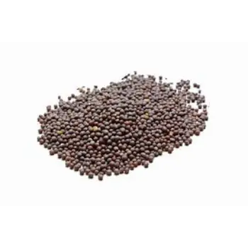 common Brown Mustard Seeds