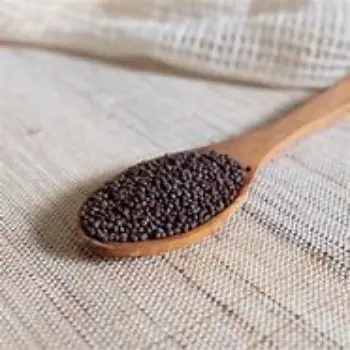 Natural Brown Mustard Seeds