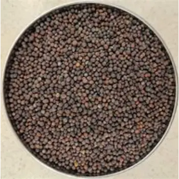Brown Mustard Seeds
