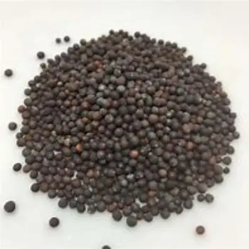 Organic Brown Mustard Seeds