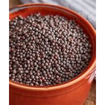 Organic Brown Mustard Seeds
